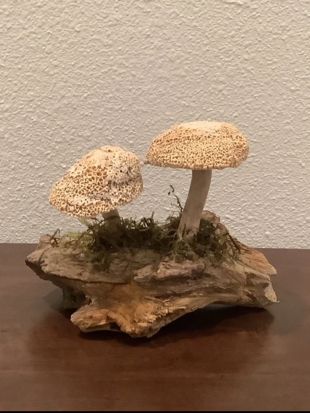 Driftwood Art, Driftwood & Seashell Mushrooms, Seashell Mushroom Art, Coastal